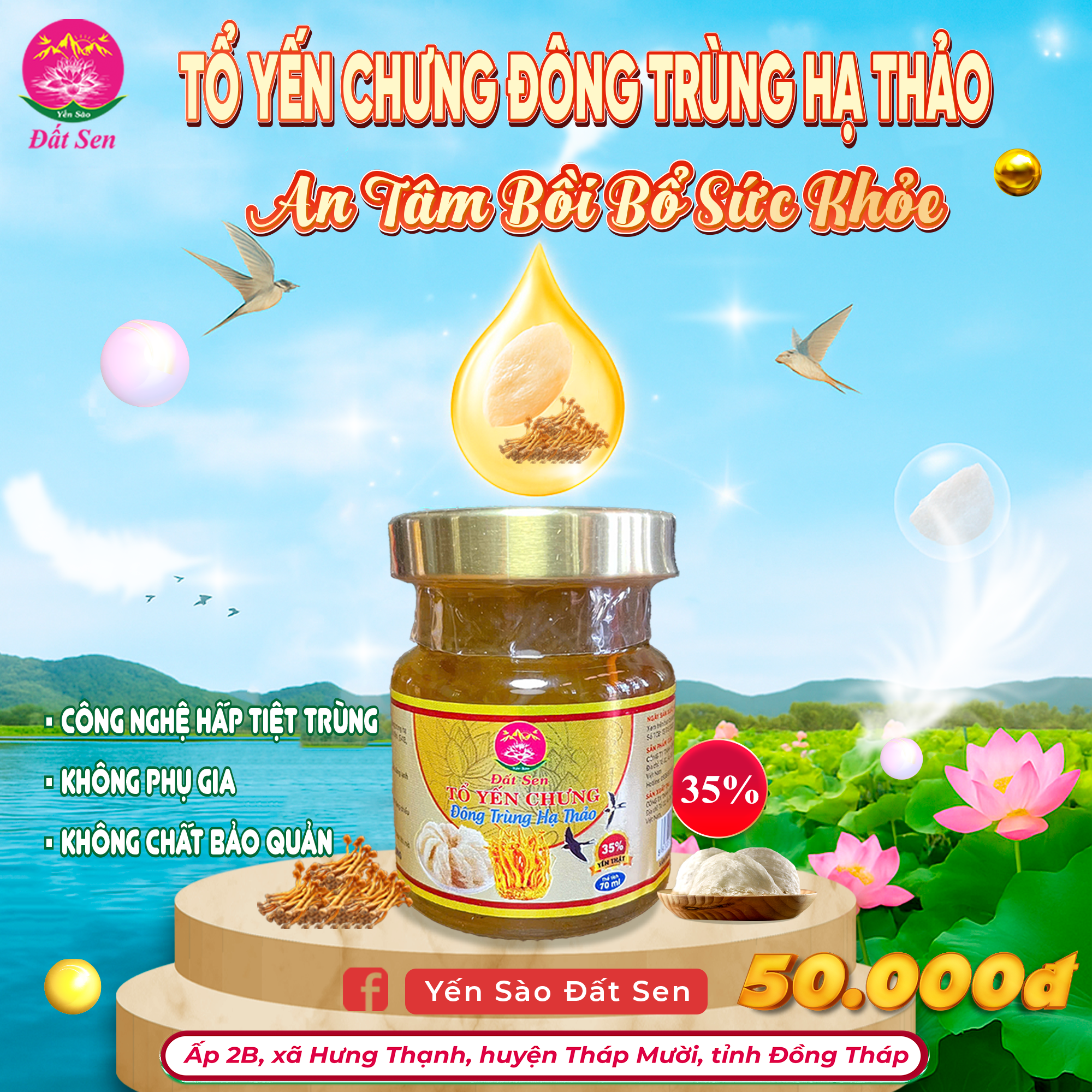 Tổ Yến Chưng Đông Trùng Hạ Thảo