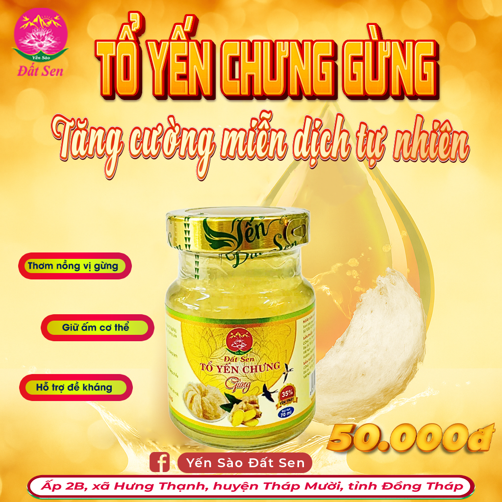 Tổ Yến Chưng Gừng