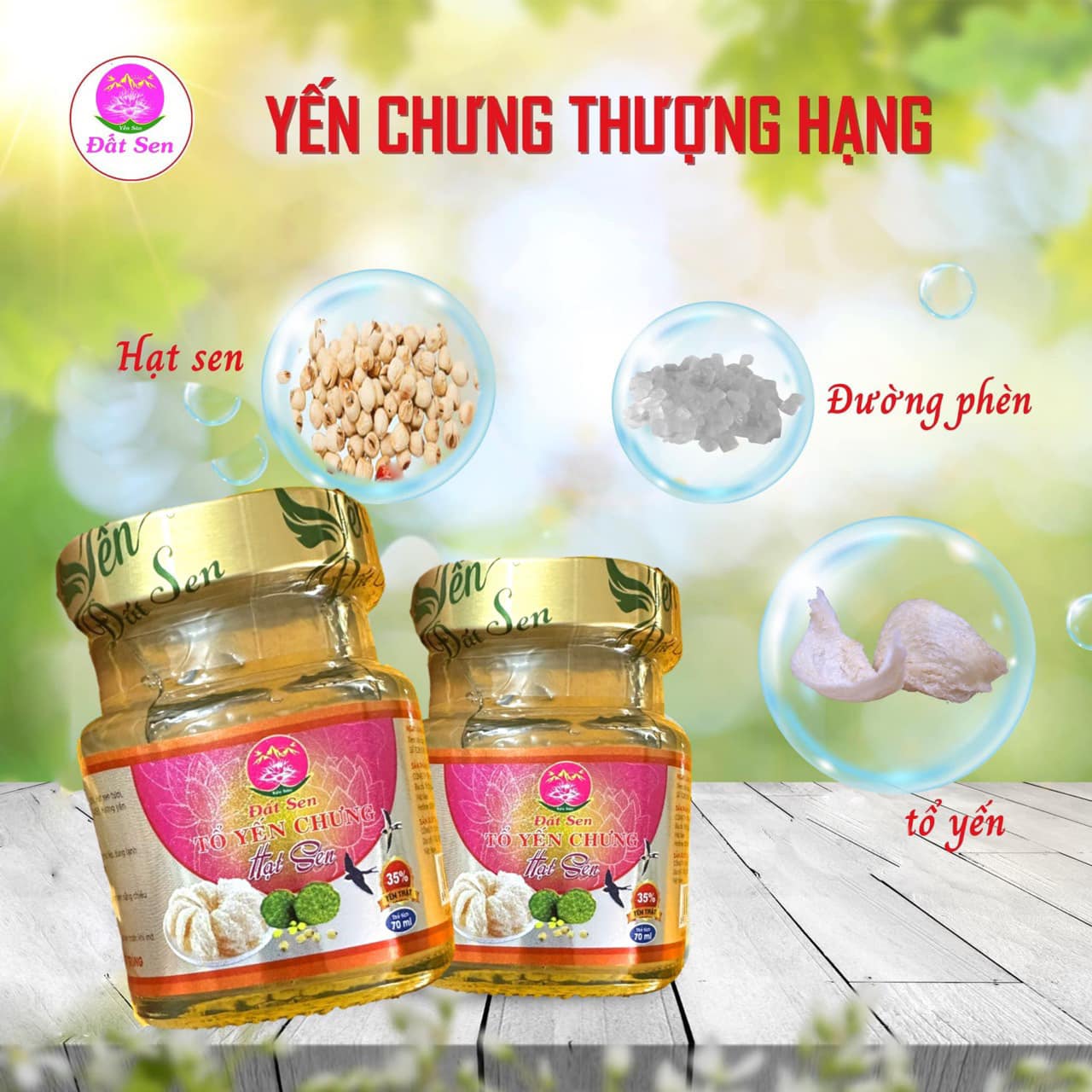 Yến chưng hạt sen Đất Sen