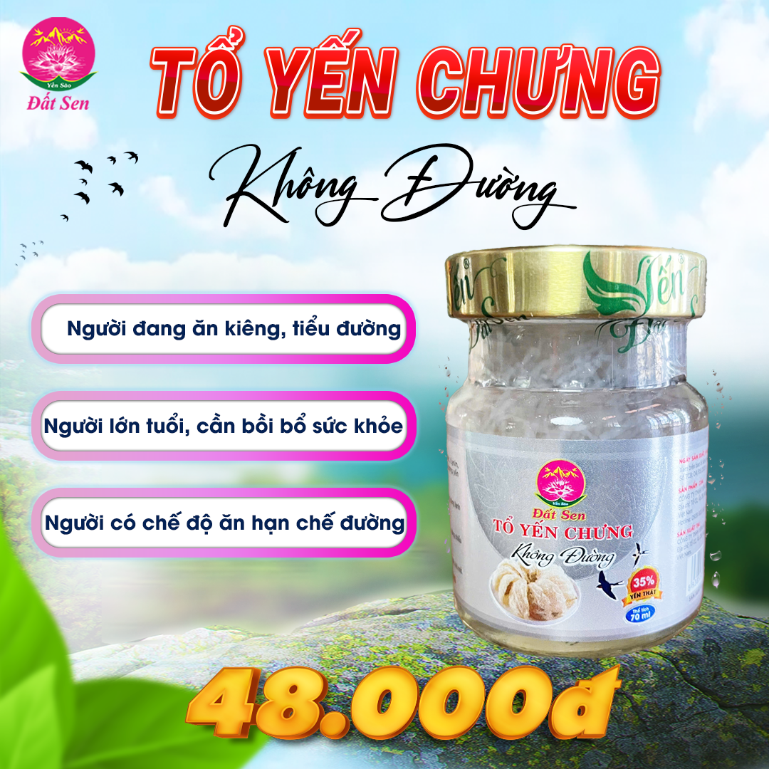 Tổ Yến Chưng Không Đường